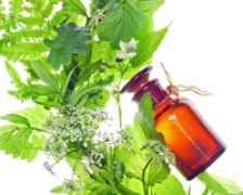 Fitoterapia in sezonul rece