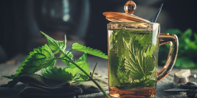 ceaai de urzici beneficii pentru sanatate, detoxifiere cu urzici, urzici modalitati de consum, urzici precautii ai recomandari, cum sa preparati si sa consumati urzicile,