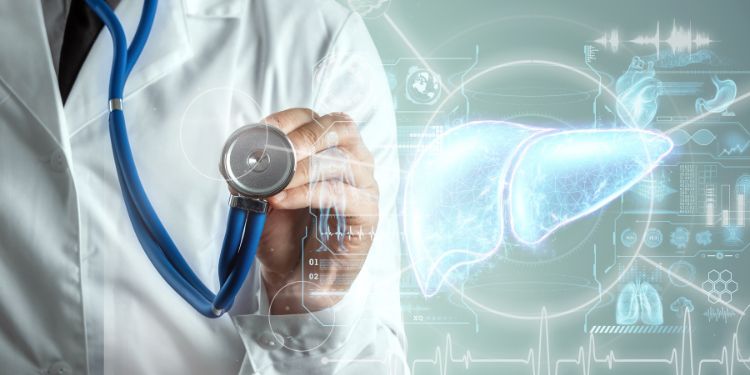 variatiile normale ale fierului seric, surse alimentare de fier si riscul de exces, excesul de fier si riscul de cancer si boli cardiovasculare,