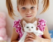 Animalele de companie, potentiale pericole pentru sanatate