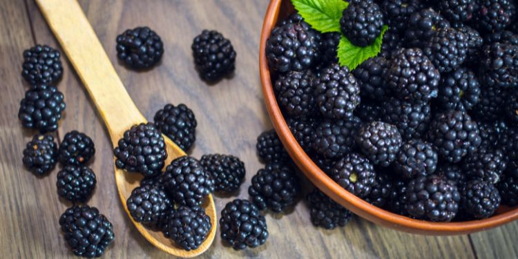 mure profil nutritional, mure calorii, mure vitamine si minerale, beneficii mure,