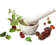 Plante care ajuta la intarirea imunitatii