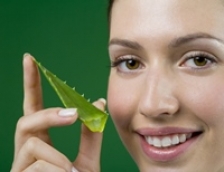 Aloe vera, miracol al naturii