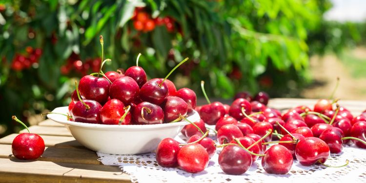 cirese beneficii, cirese vitamine si minerale, cirese continut de antioxidanti,