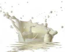Intoleranta la lactoza, mit sau realitate 2