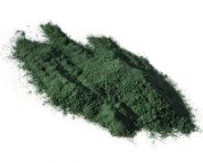 Spirulina si ganoderma