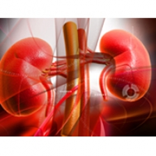 glomerulonefrita și prostatita