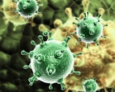 Primul anticorp care ataca subtipurile virusului gripal A