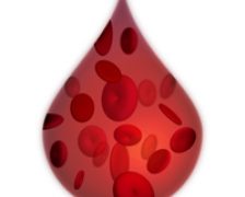 A fost realizata prima transfuzie cu globule rosii rezultate din celule stem