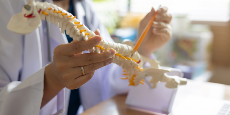 chiropractica, beneficii chiropractica, chiropracticieni, 