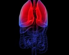 Bolile de plamani pot afecta si nefumatorii