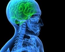 Traumatismele cerebrale, diagnosticate cu un simplu test de sange
