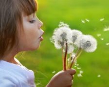 Limitarea expunerii copiilor la bacterii ii poate predispune la alergii