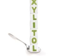 Xylitolul, indulcitorul ideal pentru persoanele cu diabet