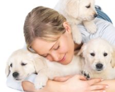 Animalele de companie, dusmanii sanatatii noastre?