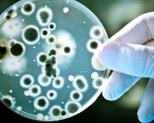 Cancere produse de… microbi