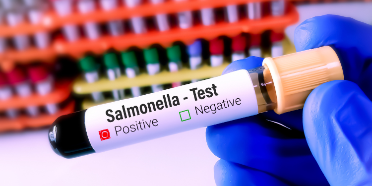 toxiinfectii alimentare, simptome toxiinfectie alimentara, remedii toxiinfectii alimentare, cauze toxiinfectii alimentare, toxine, alimente contaminate, preventie,