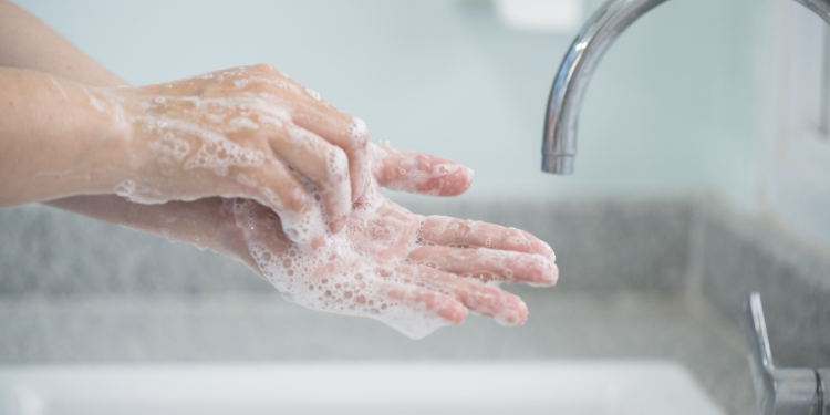 toxiinfectii alimentare, simptome toxiinfectie alimentara, remedii toxiinfectii alimentare, cauze toxiinfectii alimentare, toxine, alimente contaminate, preventie,