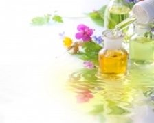 Energizati-va natural cu ginkgo biloba, ginseng, catina, aloe vera
