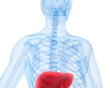Poate fi steatoza hepatica reversibila? Oboseala are vreo semnificatie in acest context?