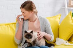 Alergia la pisici, simptome și management