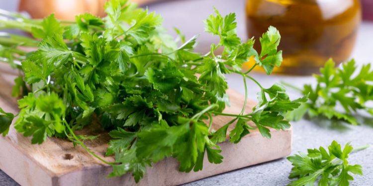 beneficiile consumului de patrunjel, de ce se recomanda consumul de patrunjel, ce contine patrunjelul,