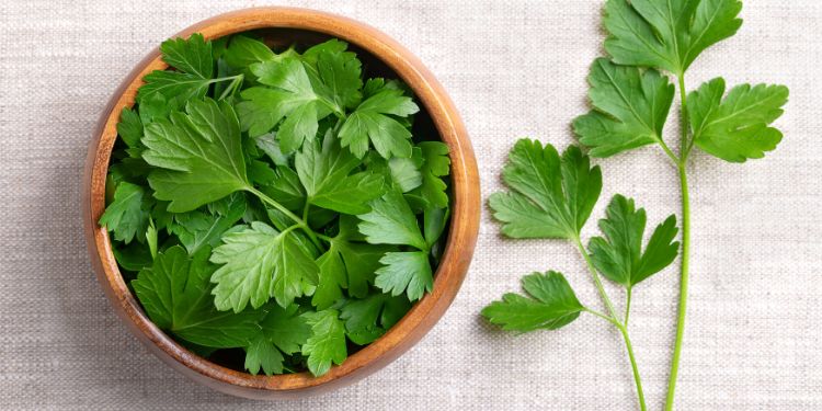 beneficiile consumului de patrunjel, de ce se recomanda consumul de patrunjel, ce contine patrunjelul,