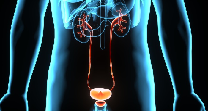 Infectiile de tract urinar: simptome, tratament, preventie | punticrisene.ro
