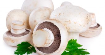 Beneficiile ciupercilor pentru sanatate
