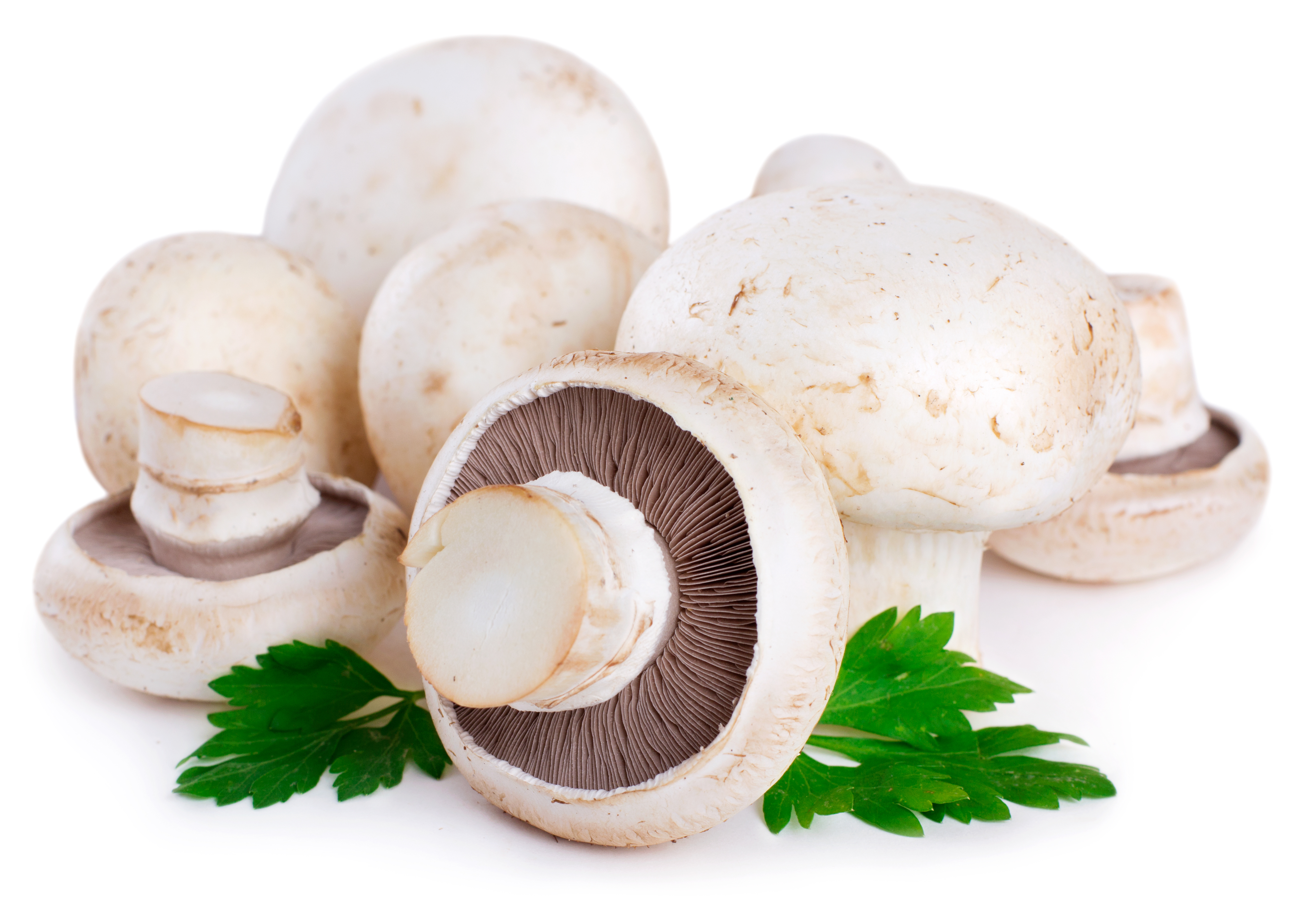 Beneficiile ciupercilor pentru sanatate