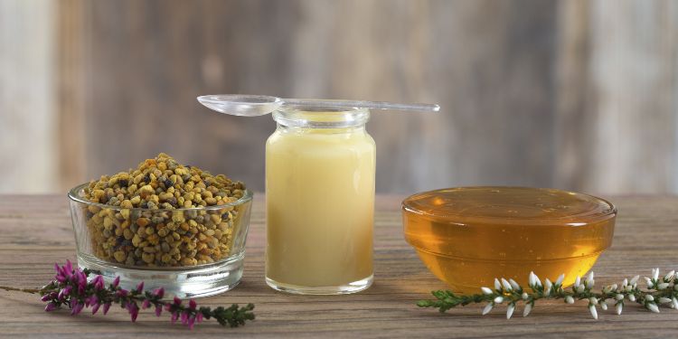 laptisor de matca, ce este laptisorul de matca, laptisor de matca beneficii, ce efecte terapeutice are laptisorul de matca, cum se administrează laptisorul de matca, cat dureaza cura cu laptisor de matca, laptisor de matca efecte adverse si contraindicatii,