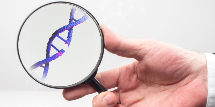 porfirie acuta intermitenta, porfirie acuta intermitenta ce inseamna, porfirie acuta intermitenta simptome, porfirie acuta intermitenta tratament, porfirie acuta intermitenta diagnostic, porfirie acuta intermitenta investigatii,