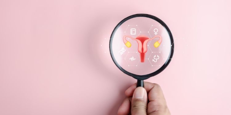 analize ginecologice, cele mai importante analize ginecologice, analize ginecologice pentru cancerul de col uterin, analize ginecologice colposcopia, ecografia transvaginala, analize ginecologice profilul hormonal, analize ginecologice pentru infectii cu transmitere sexuala, examinarea secretiei vaginale, analize ginecologice pentru Candida albicans si Trichomonas vaginalis,
