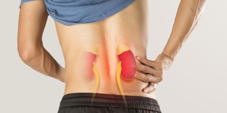 rinichi bolnavi umflarea picioarelor gleznelor sau fetei, oboseala persistenta si lipsa de energie rinichi bolnavi, simptome rinichi bolnavi dureri lombare, tensiune arteriala si rinichii bolnavi, rinichi bolnavi greata si gust metalic,