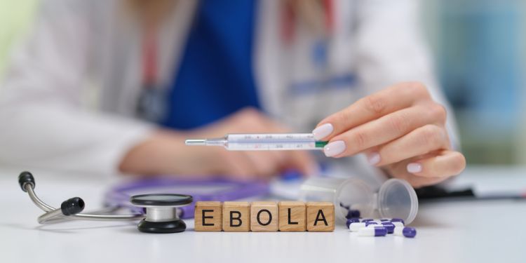 ce este ebola, cum se transmite ebola, diagnostic ebola, ebola tratament, cum putem preveni infectarea cu ebola, cat de periculoasa este ebola,