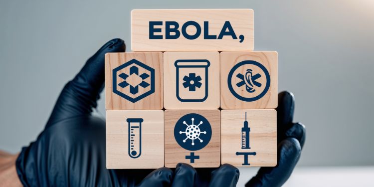 Ebola: ce este și cum se transmite?