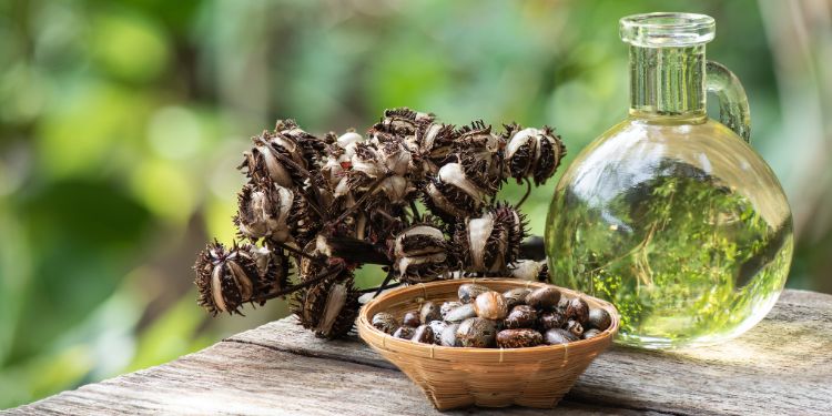ulei de ricin pentru par, cum sa folosesti ulei de ricin pentru par, ce beneficii are uleiul de ricin pentru par, 