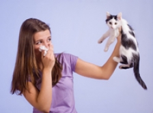 Alergia la animalele de companie: cum o combatem?