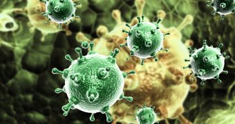 Infectia virala vs infectia bacteriana – de ce persista raceala?