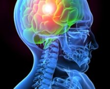 Sperante pentru pacientii cu Alzheimer: amintirile pierdute ar putea fi recuperate