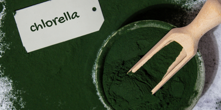 Chlorella: analiza detaliată a beneficiilor și proprietăților sale terapeutice