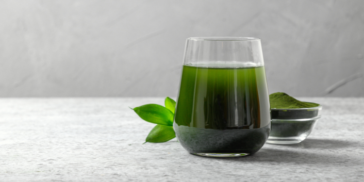 alga chlorella, pudra chlorella, beneficii chlorella, administrate chlorella,