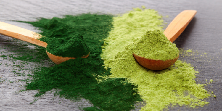 alga chlorella, pudra chlorella, beneficii chlorella, administrate chlorella,