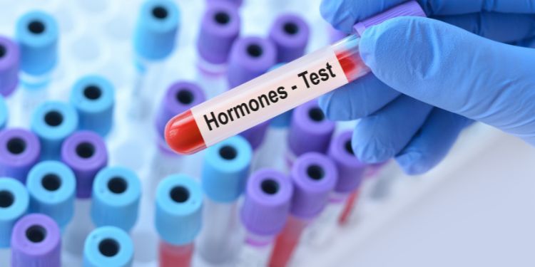dezechilibre hormonale diagnostic, dezechilibre hormonale solutii si tratamente, cum prevenim dezechilibrele hormonale,