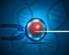 Programul de fertilizare in vitro, refinantat de Ministerul Sanatatii
