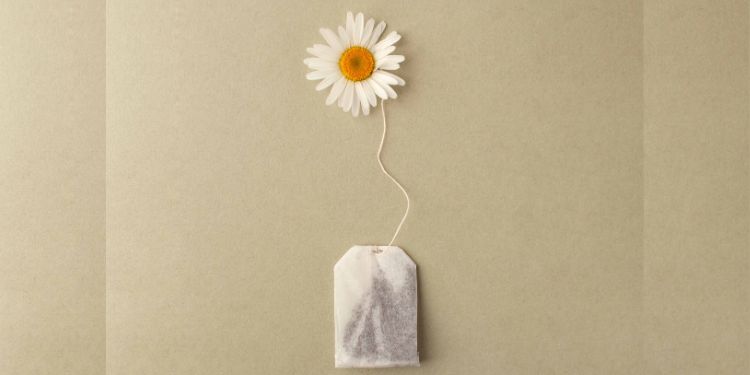 ceai de musetel beneficii pentru piele si ochi, ceaiul de musetel si menstruatia, cum se prepara corect ceaiul de musetel, 