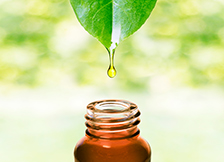 secundara plante-anxietate