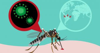 Virusul Zika, o amenintare la nivel global