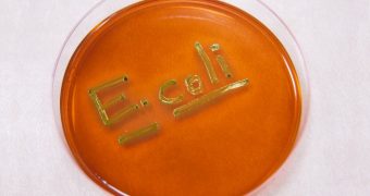 Infectia cu E. coli: cum poate fi prevenita