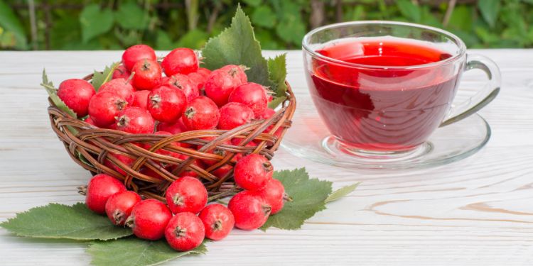 remedii homeopate pentru menopauza, fitoterapia in menopauza, menopauza si suportul emotional, paducel, 